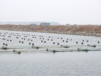 海洋水产养殖