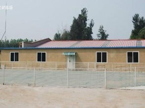 图 养不死是王道 名宠基地直销阿拉斯加犬 保健康送用品 深圳宠物狗