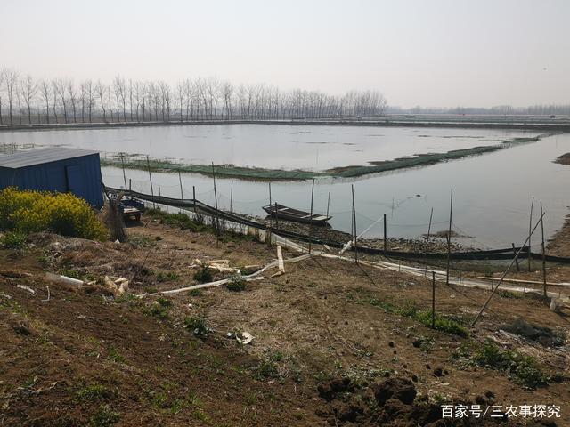 绿色养殖基地
