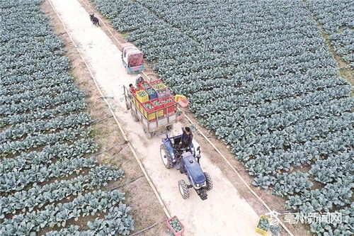 走出去 引进来 ,绘就扩大开放新格局