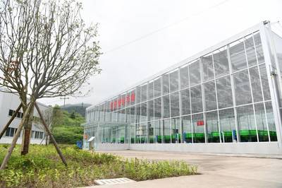 小龙虾住进智能化工厂 四川大竹“稻虾共养”亩均效益近万元