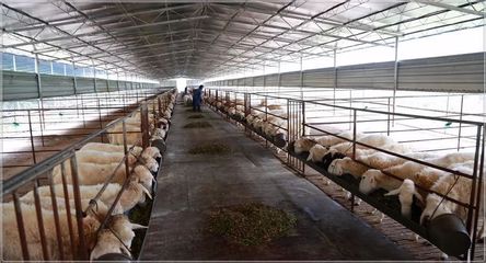 聚焦|农生文在忻城强调:选准做大特色产业,努力推动扶贫工作再上新台阶