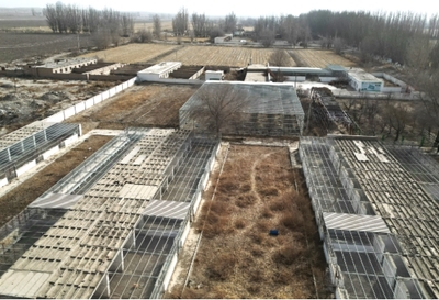 奋力推动和硕高质量发展丨和硕县:特色养殖为乡村振兴注入新动能