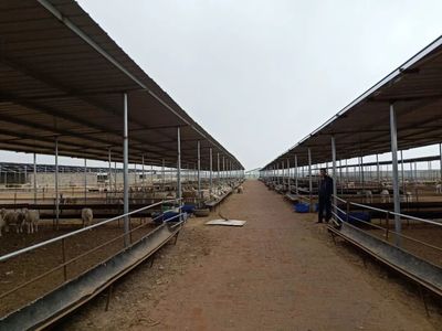 【壮丽70年 奋斗新时代】白土岗养殖基地39家入园企业全力推进项目建设