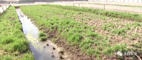 作风建设再突破 窑湾国土所 心作沃土百姓耕