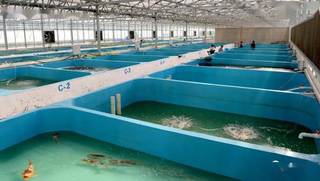 最大水族文化产业基地初见成效_储养区