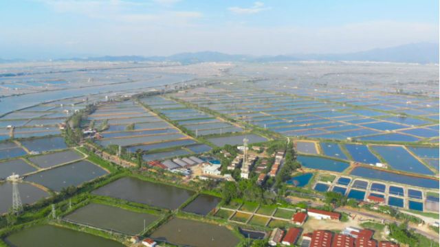 实现水产品的“身价倍涨”!升级打造全产业链,“小鱼虾”扑腾出“大产业”