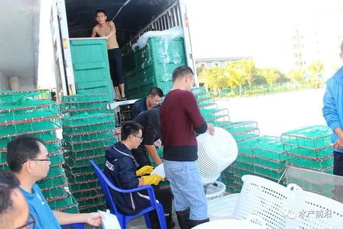 国联南三对虾工厂化养殖基地养虾,创造超5000斤亩产,100 成功,怎么做到