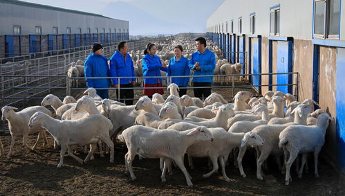 在最困难的地方践行担当 记 2020年全国脱贫攻坚奖奉献奖 获得者尹建敏