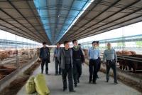 波尔山羊养殖基地养殖技术[供应]_牲畜_世界工厂网中国产品信息库