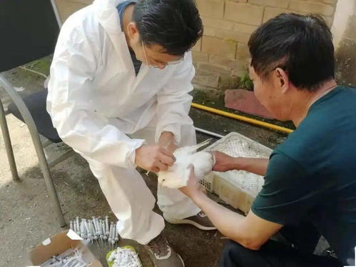 塘坝一周资讯20210521