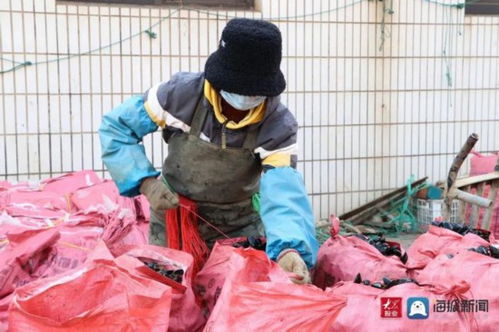 好品山东丨新鲜肥美 全国最大海虹养殖基地产品上市 日产30万斤
