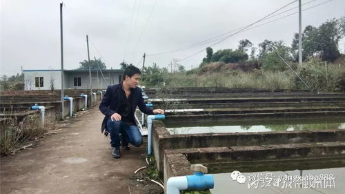了不得 29岁农村小伙养这个东西一年收入上百万