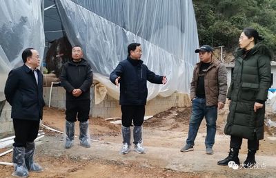 蓝胜到那天屯调研循环水养殖项目,推动渔业产业高质量发展