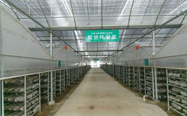 河南伏牛山百菌园:菌类产品的养殖基地