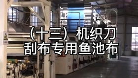 工厂化高密度水产养殖中镀锌板刀刮布高位池的刀刮布测试前取样实践