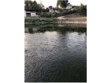 贵溪市磊财泥鳅养殖专业合作社养殖基地——绿色生态，品质保障