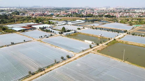 国家级认可 海大两个育种基地获评水产健康养殖示范基地