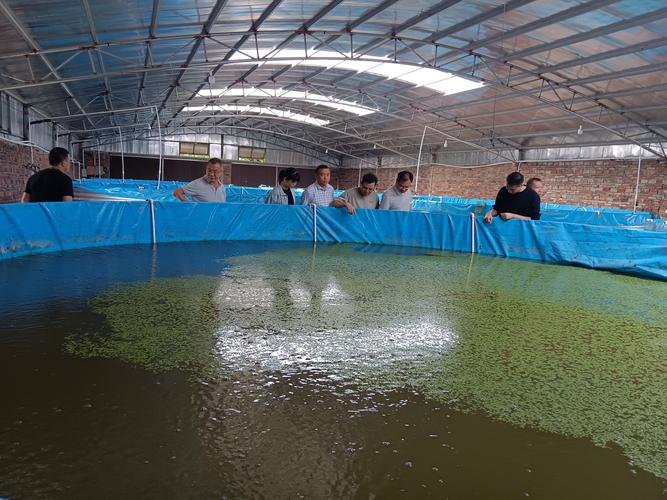 江工作西省水产技术推广应用处深入我市调研指导澳洲淡水龙虾养殖基地