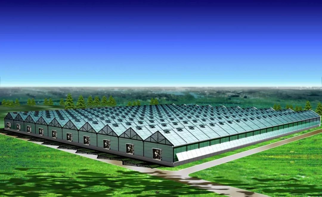 乡村振兴背景下养殖基地申报高达上亿元农业扶持资金的条件解析