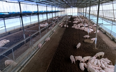 推动生态畜牧全产业链高质量发展——以遵义习水养殖基地为例