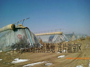 蚯蚓养殖基地 直接销售蚯蚓及其延伸产品，源头厂家，经济实惠