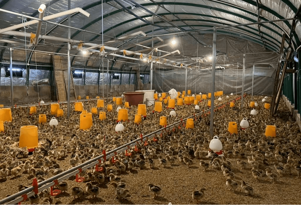 产业兴村促振兴 清镇市王庄乡小坡村养殖基地的蝶变之路