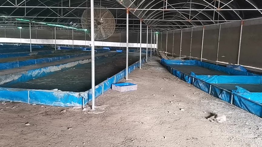 蛋白虫养殖基地 构建未来绿色蛋白的新兴产业